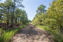 Stonebridge Tract 52
