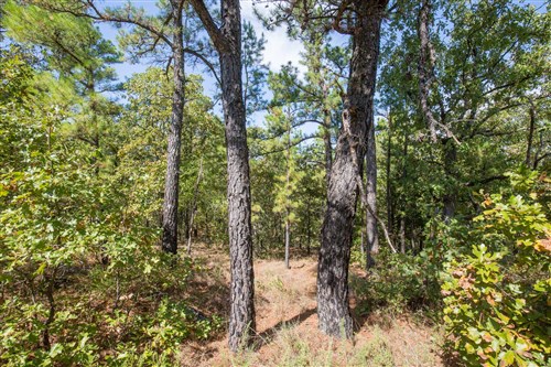 Stonebridge Tract 53