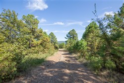 Stonebridge Tract 53