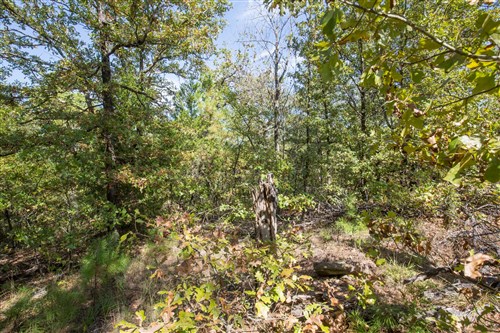 Stonebridge Tract 53