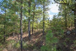 Stonebridge Tract 53