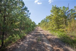 Stonebridge Tract 53