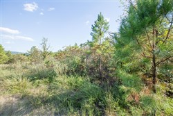 property photo for Stone Bridge Phase I Tract 56, 13.18 acres for sale in LatimerHaskell County, Oklahoma