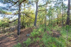 property photo for Stone Bridge Phase I Tract 56, 13.18 acres for sale in LatimerHaskell County, Oklahoma