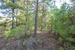 property photo for Stone Bridge Phase I Tract 56, 13.18 acres for sale in LatimerHaskell County, Oklahoma