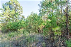property photo for Stone Bridge Phase I Tract 56, 13.18 acres for sale in LatimerHaskell County, Oklahoma