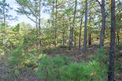 property photo for Stone Bridge Phase I Tract 56, 13.18 acres for sale in LatimerHaskell County, Oklahoma