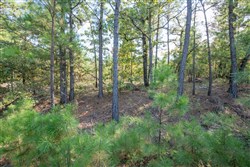 property photo for Stone Bridge Phase I Tract 56, 13.18 acres for sale in LatimerHaskell County, Oklahoma