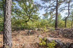 property photo for Stone Bridge Phase I Tract 57, 13.51 acres for sale in LatimerHaskell County, Oklahoma