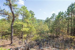 property photo for Stone Bridge Phase I Tract 57, 13.51 acres for sale in LatimerHaskell County, Oklahoma