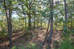 property photo for Stone Bridge Phase I Tract 57, 13.51 acres for sale in LatimerHaskell County, Oklahoma