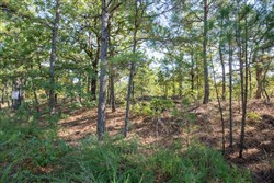 property photo for Stone Bridge Phase I Tract 57, 13.51 acres for sale in LatimerHaskell County, Oklahoma