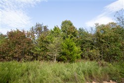 Stonebridge Tract 63