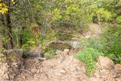Stonebridge Tract 63