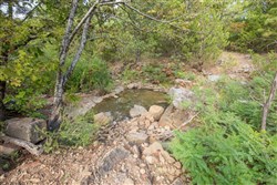 Stonebridge Tract 63