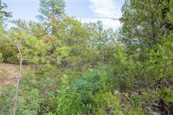 Stonebridge Tract 63