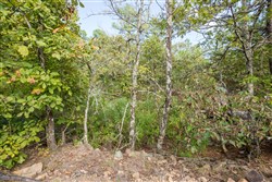 Stonebridge Tract 63