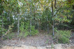 property photo for Stone Bridge Phase I Tract 66, 71.07 acres for sale in LatimerHaskell County, Oklahoma