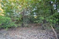 property photo for Stone Bridge Phase I Tract 66, 71.07 acres for sale in LatimerHaskell County, Oklahoma