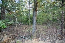 property photo for Stone Bridge Phase I Tract 66, 71.07 acres for sale in LatimerHaskell County, Oklahoma