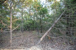 property photo for Stone Bridge Phase I Tract 66, 71.07 acres for sale in LatimerHaskell County, Oklahoma