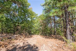 Stonebridge Tract 71
