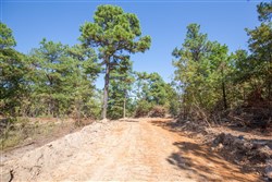 Stonebridge Tract 71