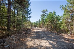 Stonebridge Tract 71