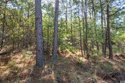 Stonebridge Tract 71