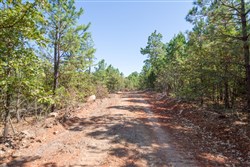 property photo for Stone Bridge Phase I Tract 72, 41.24 acres for sale in LatimerHaskell County, Oklahoma