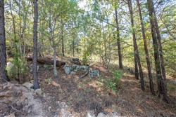 property photo for Stone Bridge Phase I Tract 72, 41.24 acres for sale in LatimerHaskell County, Oklahoma