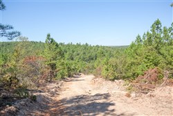 property photo for Stone Bridge Phase I Tract 72, 41.24 acres for sale in LatimerHaskell County, Oklahoma