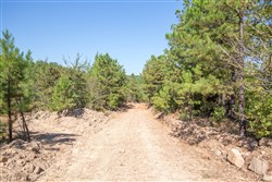 property photo for Stone Bridge Phase I Tract 72, 41.24 acres for sale in LatimerHaskell County, Oklahoma