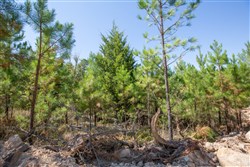 property photo for Stone Bridge Phase I Tract 72, 41.24 acres for sale in LatimerHaskell County, Oklahoma