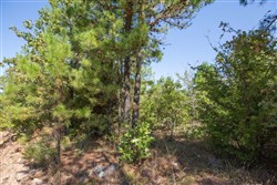 property photo for Stone Bridge Phase I Tract 72, 41.24 acres for sale in LatimerHaskell County, Oklahoma