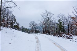 Stone Bridge Phase IV Tract 222