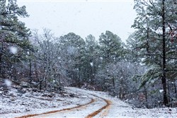 Stone Bridge Phase IV Tract 230