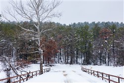 Stone Bridge Phase IV Tract 231