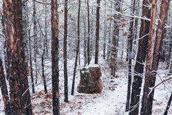 Stone Bridge Phase IV Tract 232