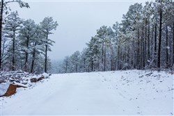 Stone Bridge Phase IV Tract 233