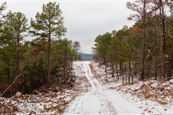 Stone Bridge Phase IV Tract 236