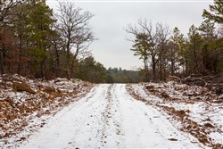 Stone Bridge Phase IV Tract 238