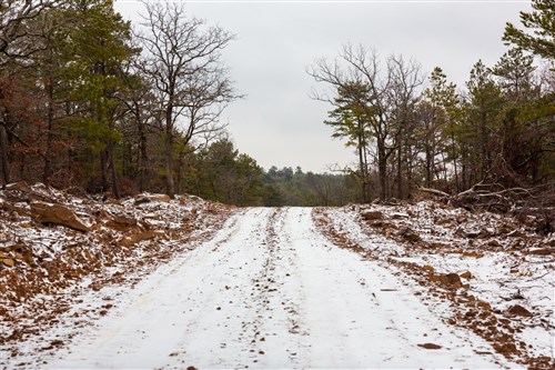 Stone Bridge Phase IV Tract 238