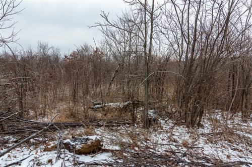 Stone Bridge Phase IV Tract 240