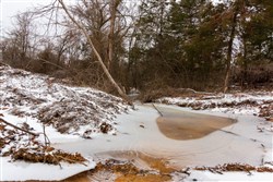 Stone Bridge Phase IV Tract 240