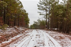 Stone Bridge Phase IV Tract 250