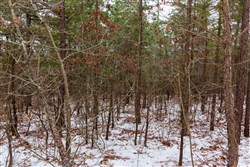 Stone Bridge Phase IV Tract 250