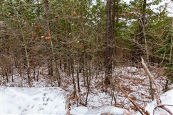 Stone Bridge Phase IV Tract 250