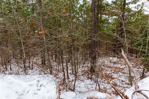 Stone Bridge Phase IV Tract 250