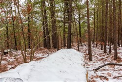 Stone Bridge Phase IV Tract 250